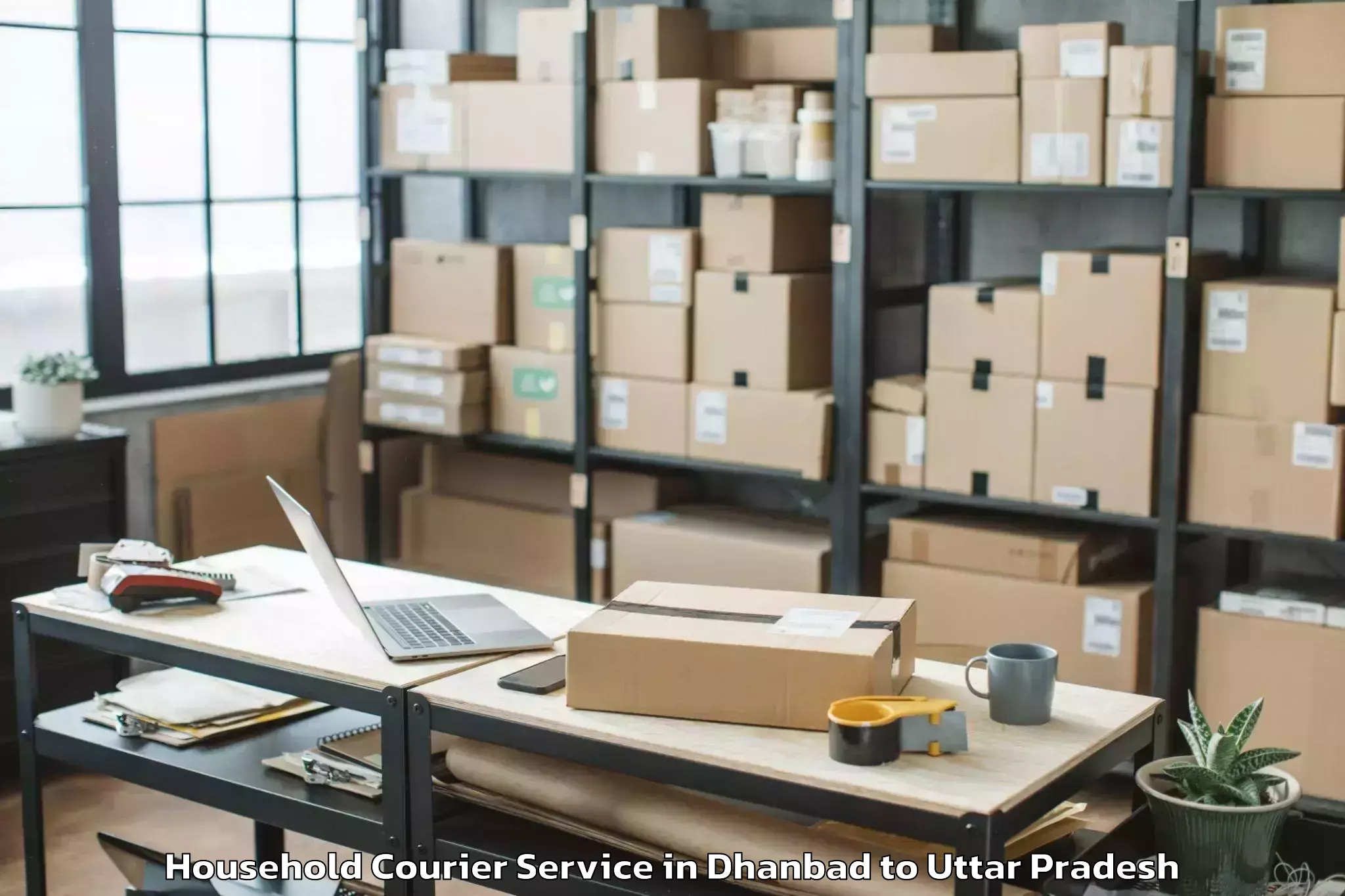 Hassle-Free Dhanbad to Abhilashi University Aligarh Household Courier